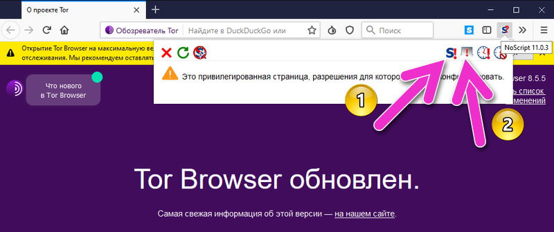tor browser как включить javascript megaruzxpnew4af
